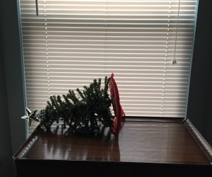 9d64db115bf9757fda8fc31f743d30ab