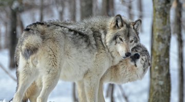 I Got Fucked Up Last Night