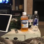 The Sunday Scaries Panic Room Breakdown: December 11