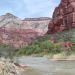 Screen Shot 2017-04-25 at 1.59.29 PM