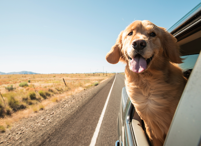 Screen Shot 2017-04-21 at 2.41.42 PM