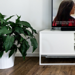 Things Girls Do After Graduation: The Bachelorette