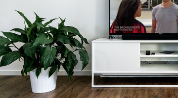 Things Girls Do After Graduation: The Bachelorette