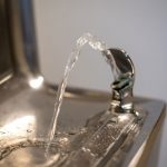 This Tweet About Elkay Water Fountains Has Gone Viral And It's My Obligation To Weigh In